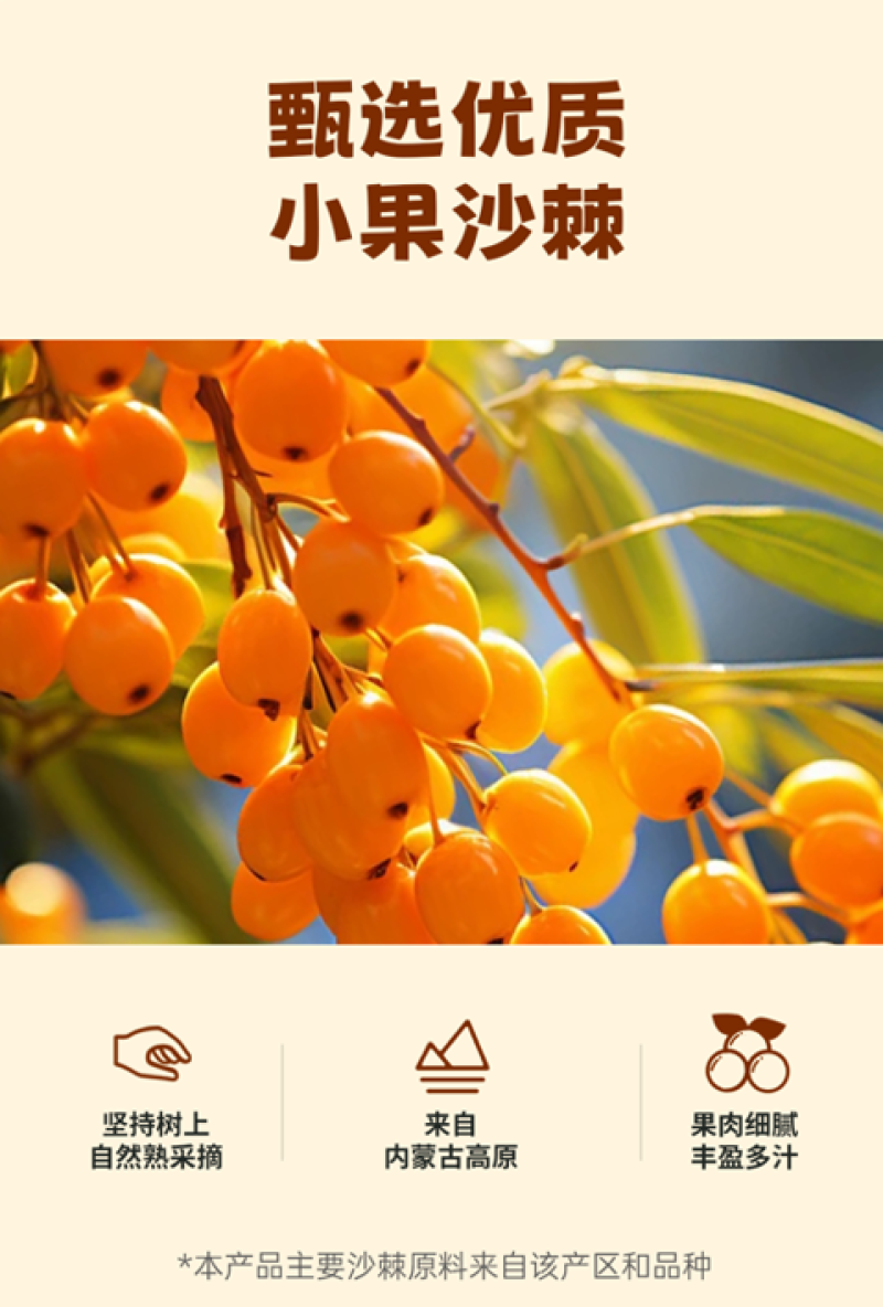 沙棘汁，健康风味饮品，每一口都是大自然的新鲜馈赠
