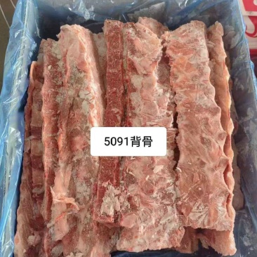 5091猪背骨