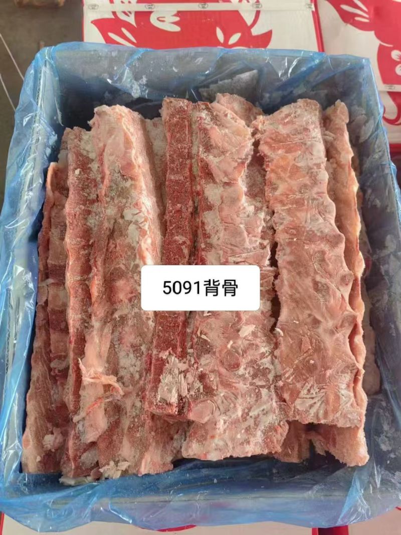 5091猪背骨