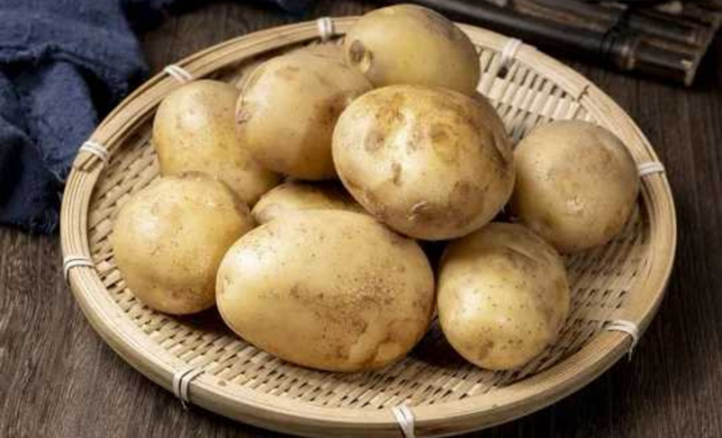 【黄心土豆】热卖内蒙古产地自家种植精品土豆可视频看货全国