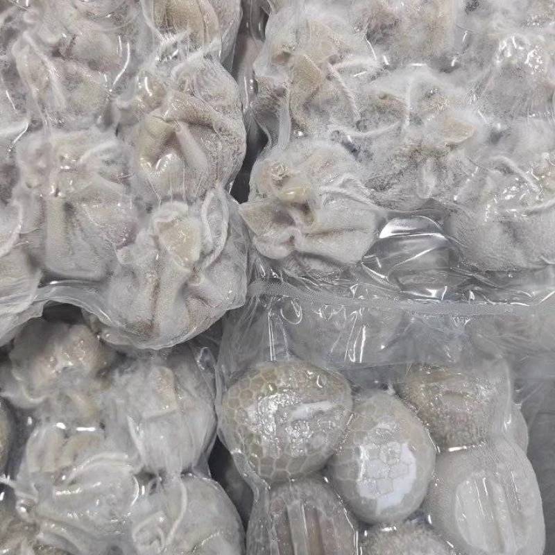 内蒙古羊肚包肉大量供应代发全国诚信合作欢迎来电