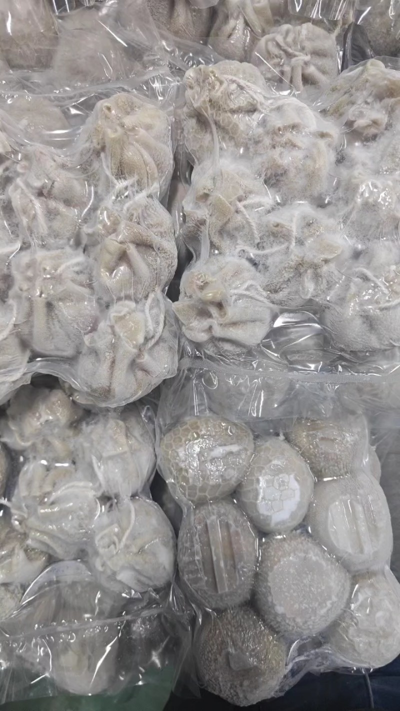 内蒙古羊肚包肉大量供应代发全国诚信合作欢迎来电