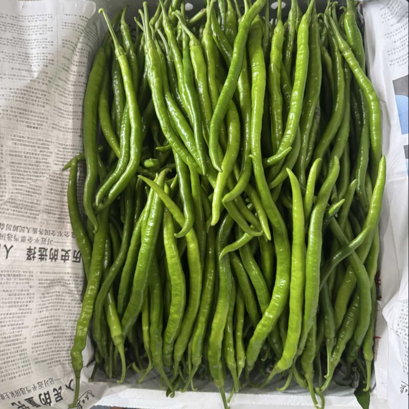 精品青线上市商超直供，大量上市，品质优选。