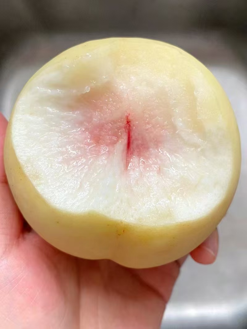 金秋红密上市中