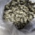 新鲜蝉蜕货源充足欢迎电话咨询产地直发
