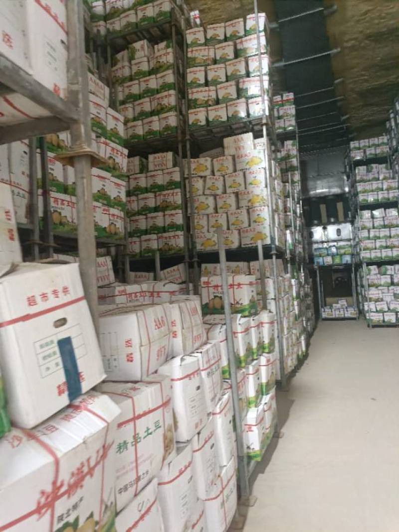 大量土豆出售
