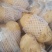 大量土豆出售