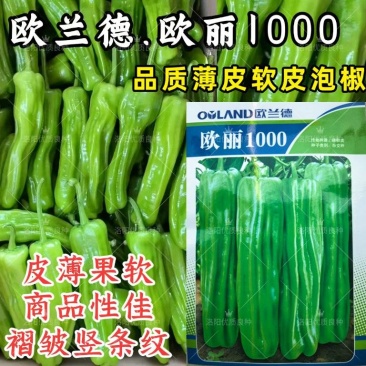 欧丽1000薄皮椒种子欧兰德竖条纹软皮泡椒苏椒酥椒微辣辣