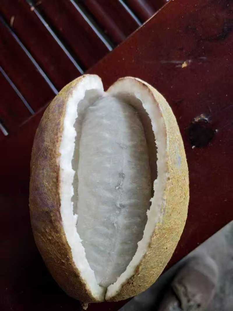 八月瓜，鲜果