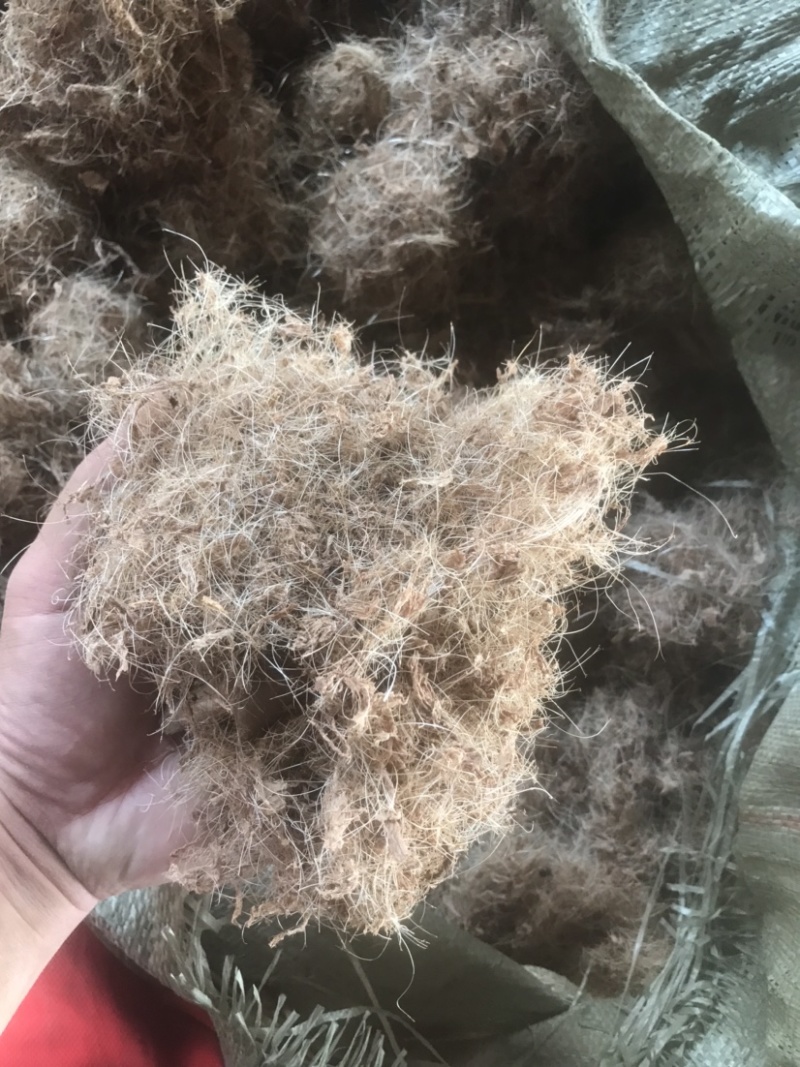 干猪毛（2吨起步装，大量现货。广西南宁市周边。货源稳定）