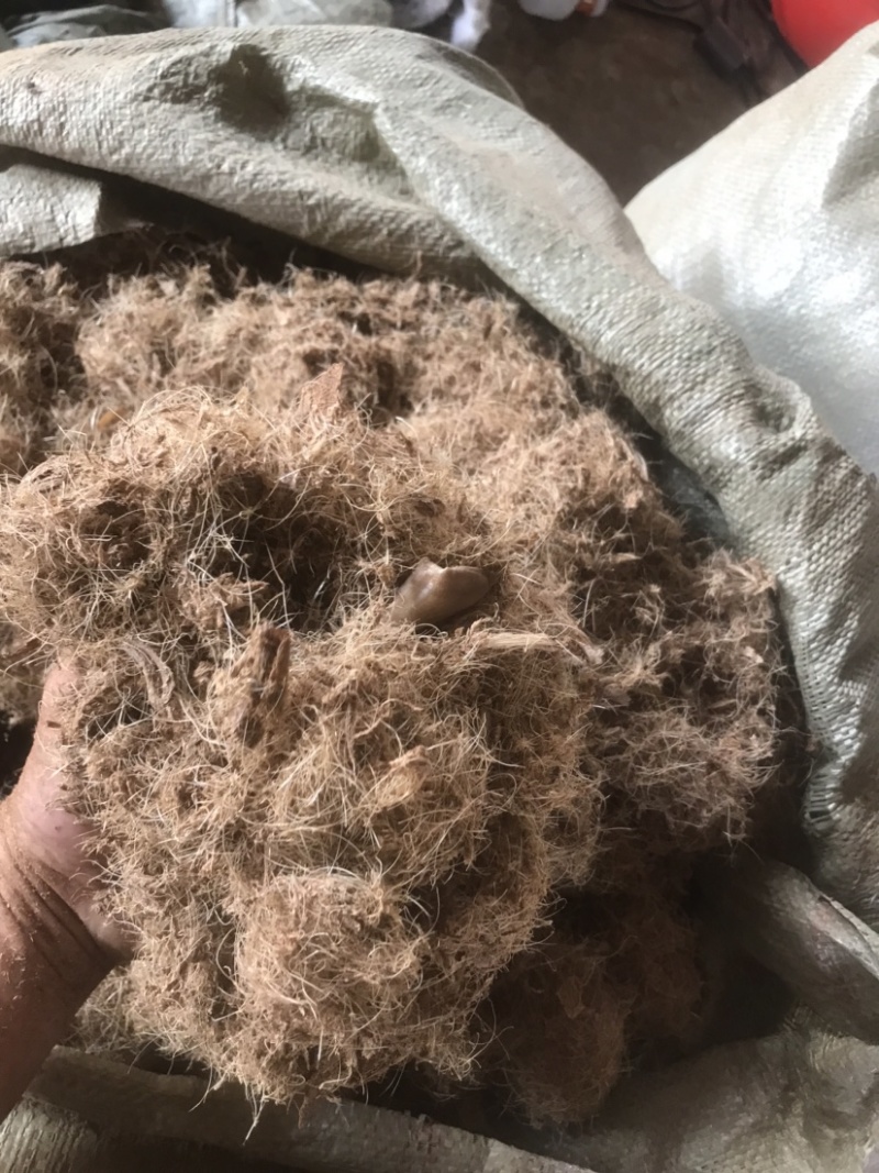 干猪毛（2吨起步装，大量现货。广西南宁市周边。货源稳定）