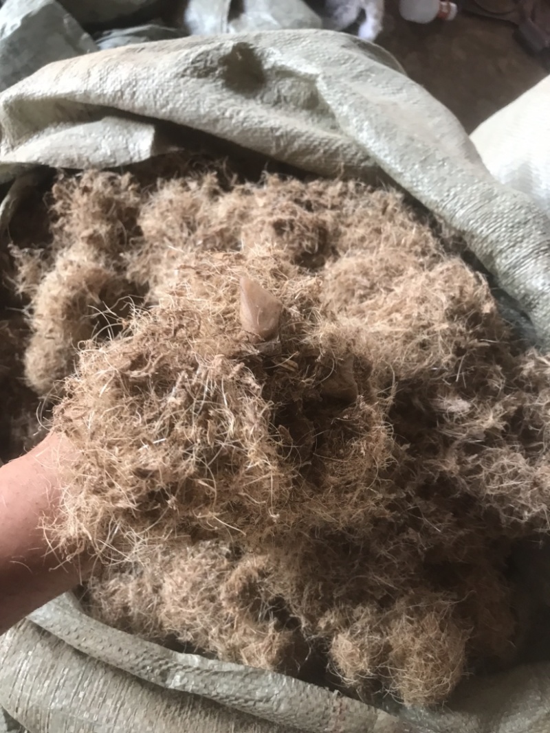 干猪毛（2吨起步装，大量现货。广西南宁市周边。货源稳定）