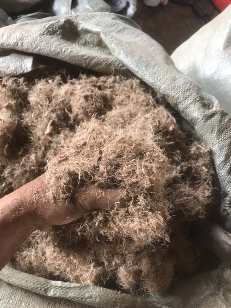 干猪毛（2吨起步装，大量现货。广西南宁市周边。货源稳定）