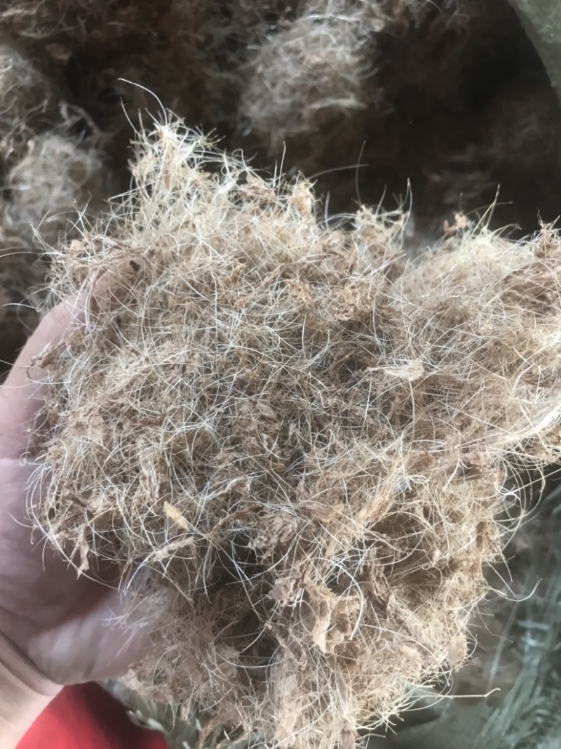 干猪毛（2吨起步装，大量现货。广西南宁市周边。货源稳定）