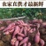 【量大优惠】四川红皮白心红薯、地瓜、番薯、红苕、