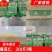 蚕豆自家厂家货源速冻蔬菜,蚕豆,对接商超,欢迎合作咨询