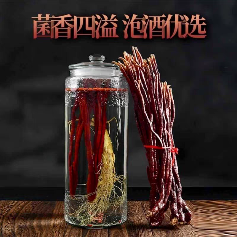 《灵芝草》自然晾晒/价格便宜/自家种植/欢迎来电咨询