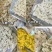特产零食新炒年糕片年糕条即食农家手工烤芝麻低脂
