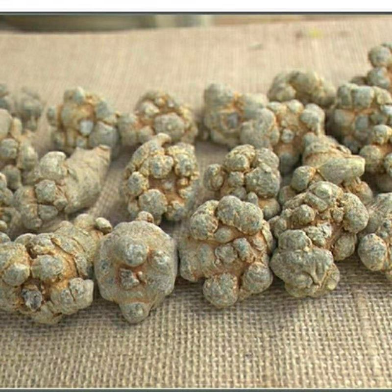 文山三七根茎整个头正品云南田七正宗5云南文山三七货真价实