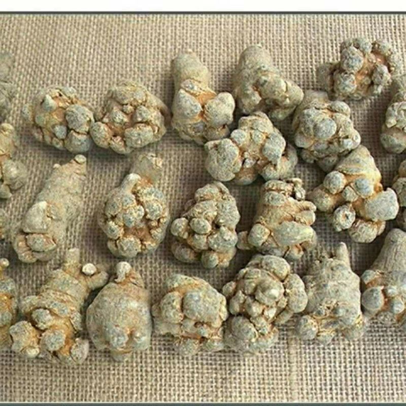 文山三七根茎整个头正品云南田七正宗5云南文山三七货真价实
