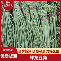 豆角山东莘县长豆角产地直发，大量供应，量大从优一手货源