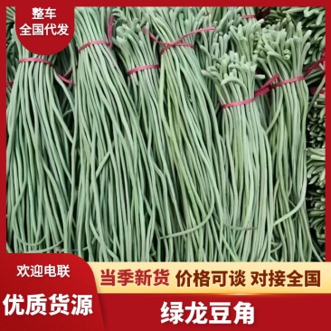 豆角山东莘县长豆角产地直发，大量供应，量大从优一手货源