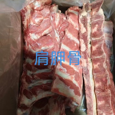 肩胛骨