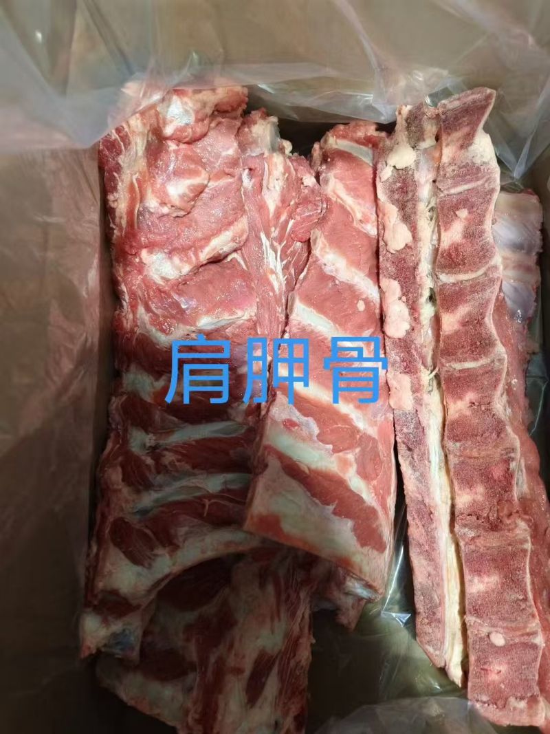 肩胛骨