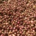 毛葱小米葱小洋葱山东毛葱懒窝葱产地直发大量有货
