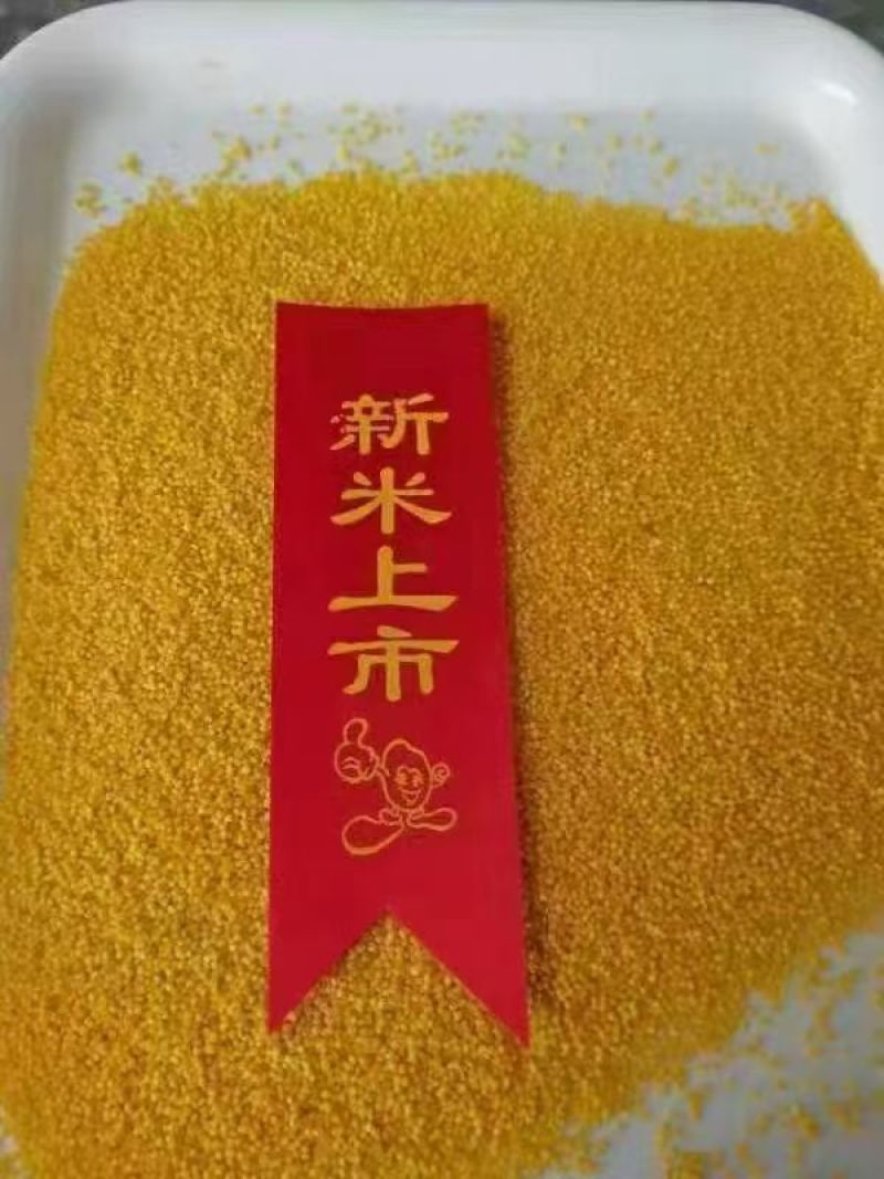 《内蒙小米》敖汉小米/产地货源/万亩基地/价格电话商议
