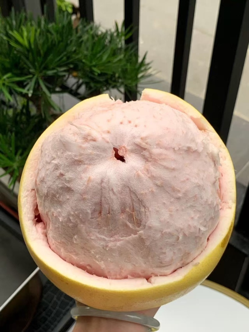 【热卖】红心柚子基地直销量大质优价格优惠欢迎咨询采购