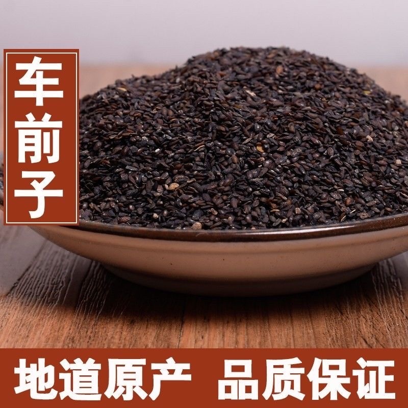 车前子正宗江西车前子冷背中药材大全批发零售货真价实