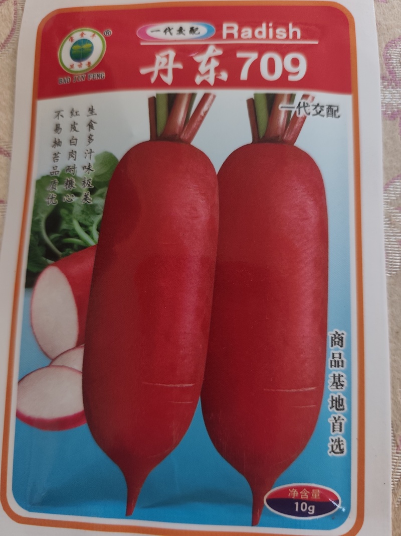 水果萝卜种子，口感甜脆，绿皮绿肉，圆柱形，适合秋播！
