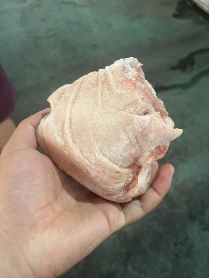 肘子