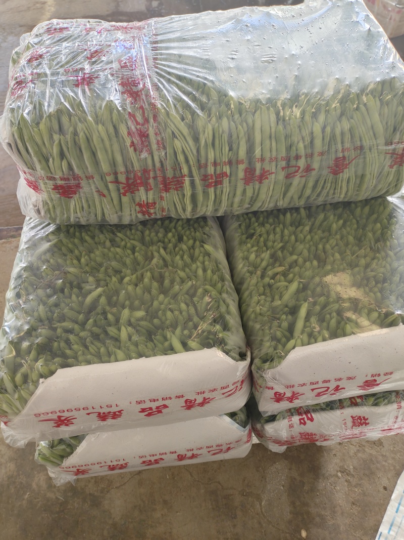 四季豆，小金豆，产地发货，一年四季有货
