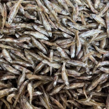 油炸白条，油炸白肖，纯小白条，2-3公分4-5公分