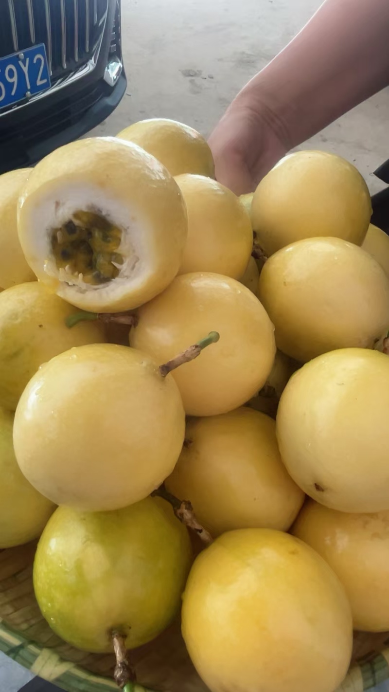 钦蜜九号百香果