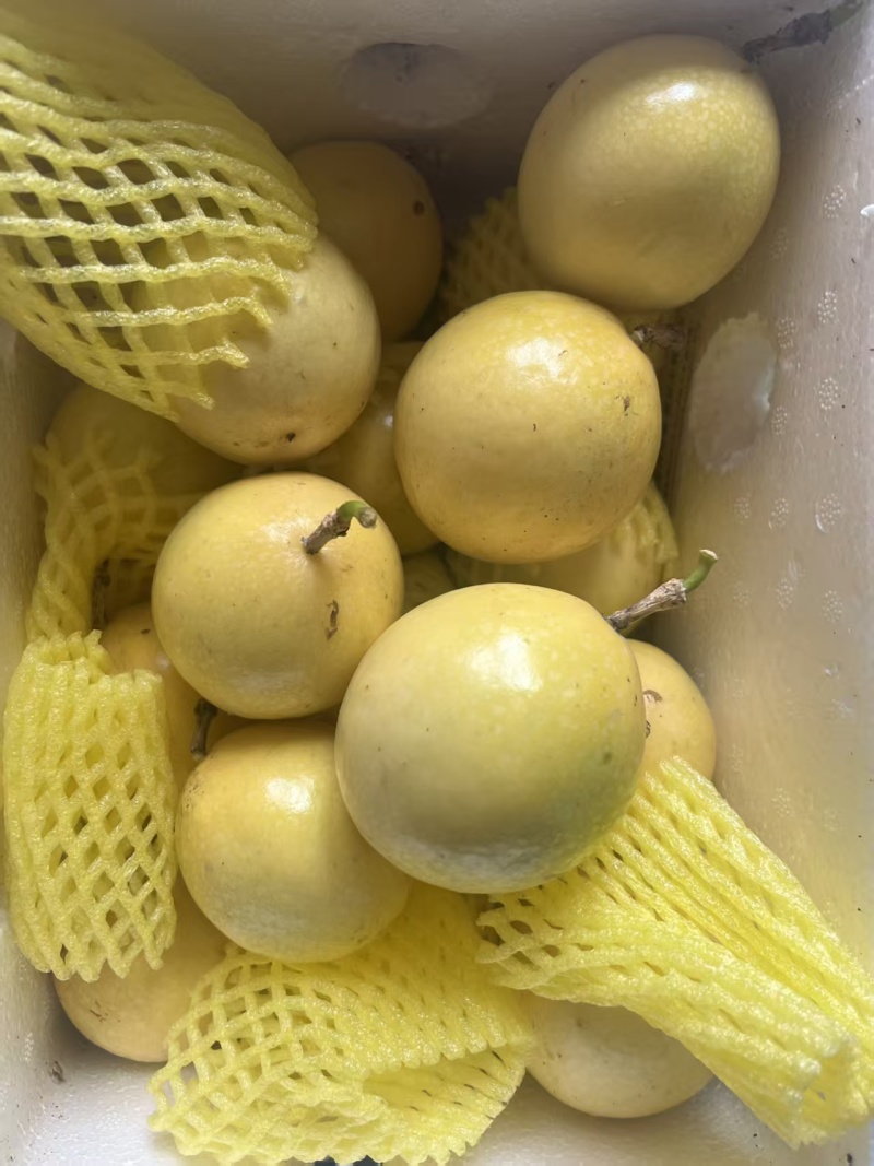 钦蜜九号百香果