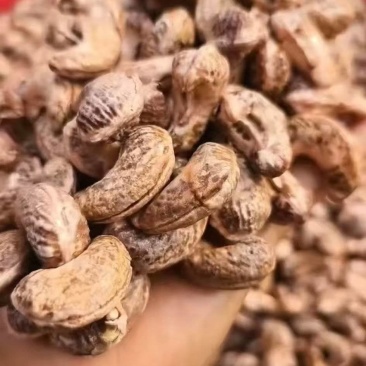 头茬果，精品越南170腰果，要的喊，保质保量[