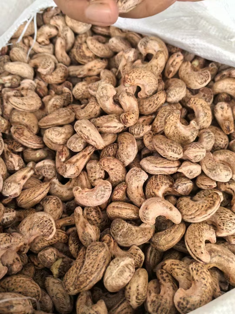 头茬果，精品越南170腰果，要的喊，保质保量[