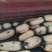 千亩莲藕，白莲藕质量好，藕面藕白欢迎选购