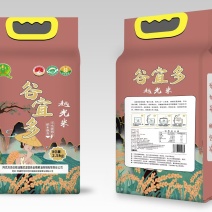 新疆优质大米精品大米越光米真空包装产地直发