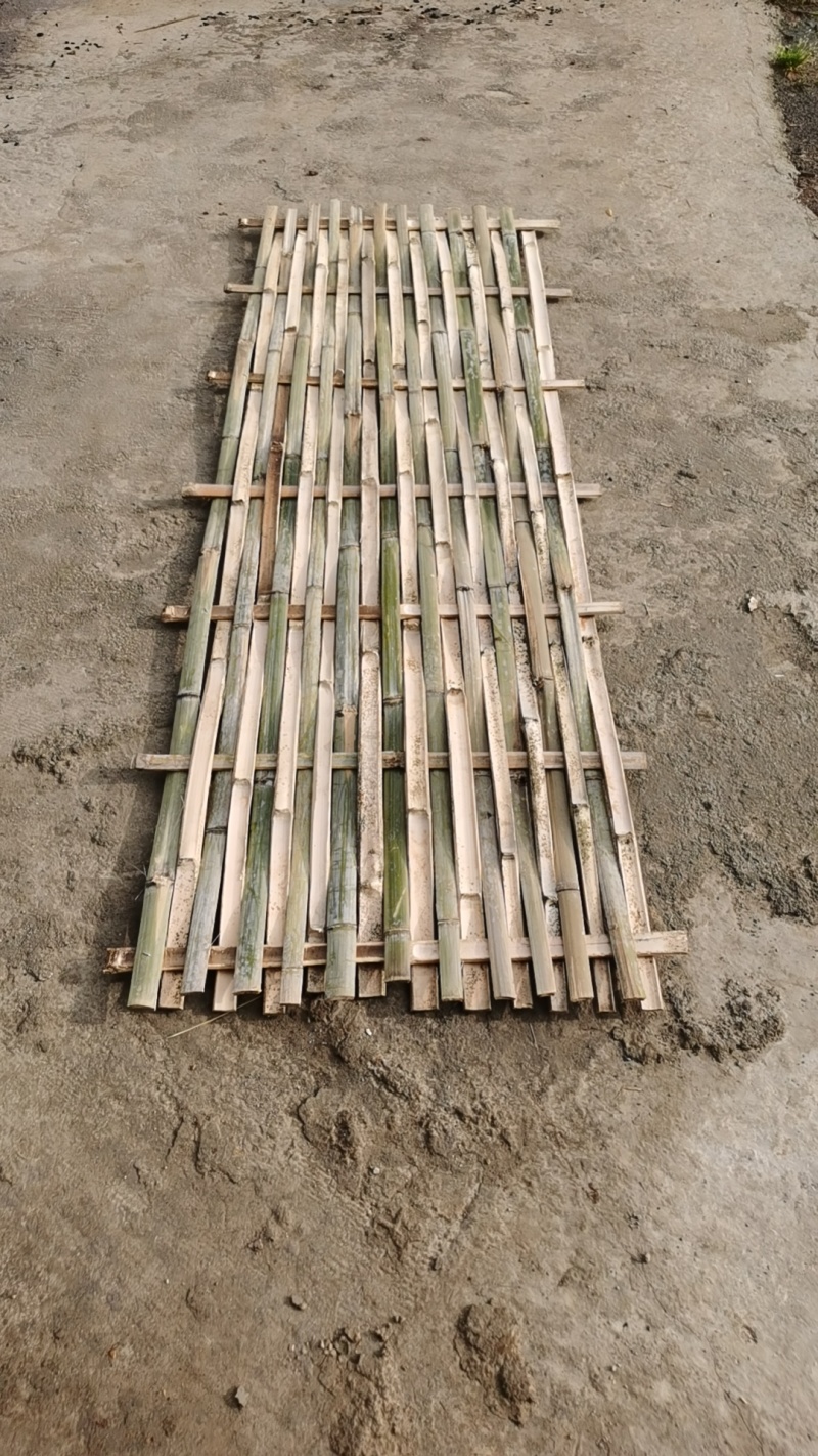 毛竹片建筑用和河道整治用竹笆，质量保证，诚信经营，