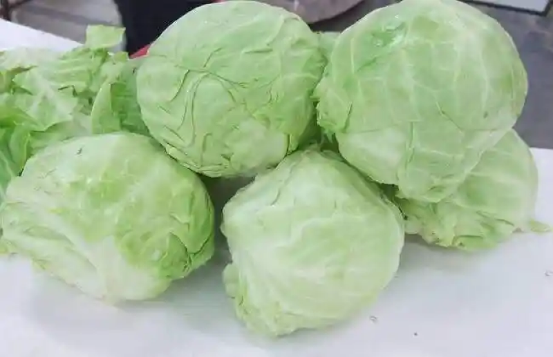 包菜，现摘现发，田间鲜到舌尖，产地直销，生态种植