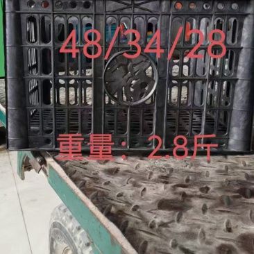 增強水果筐
