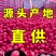 产地直发丨红富士苹果丨山东主产区丨常年供应丨口感脆甜