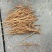 安徽亳州精品牡丹苗带芽发货成活率高一件代发