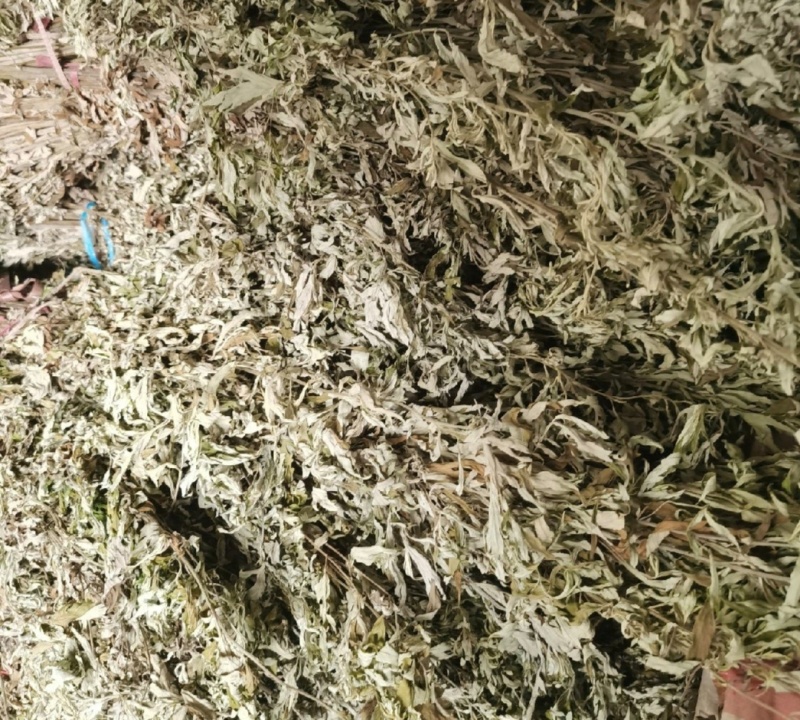 艾草整棵干艾草端午艾草常年供货味道浓郁用来泡脚