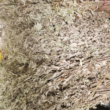 艾草整棵干艾草端午艾草常年供货味道浓郁用来泡脚