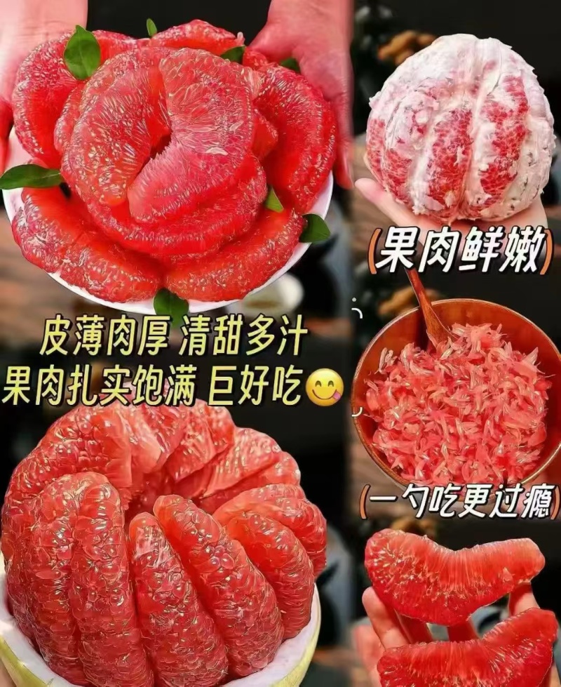 三红柚湖北柚子产地直供品质保障视频看货选货